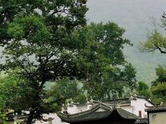 -塔川景区