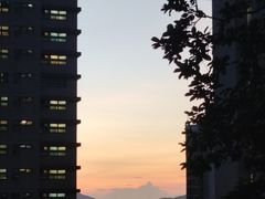-香港大学
