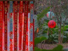 -福建鲤鱼洲酒店