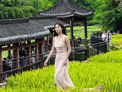 -龙头寺公园