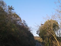-宝界山林公园