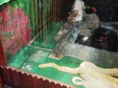-上海大自然野生昆虫馆