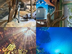 -海合安武汉极地海洋公园