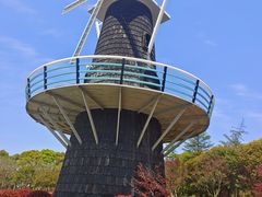 -上海鲜花港