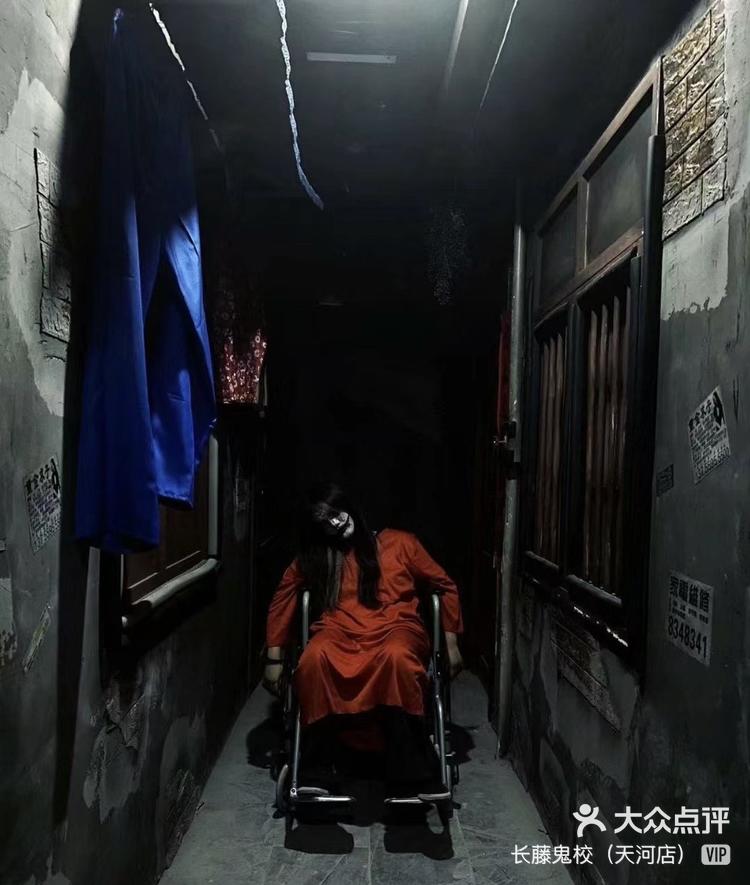 长藤鬼校胆小者勿入