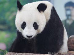 -天津市动物园