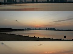 -瑶湖郊野森林公园