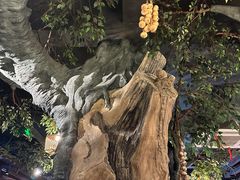 -老阿爸鲜鱼土菜(昆山花桥店)