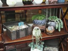 -漫渡庄绿岛花园•隐世庭园菜(滨湖店)
