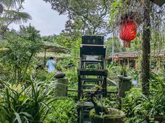 -青城甲(青城山店)