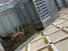 -金翠皇宫粤菜·点心·海鲜(科技园店)