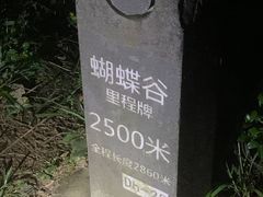 -梧桐山风景名胜区