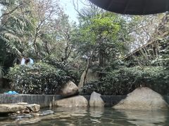 -西安国际创新人才交流中心•药浴温泉