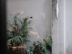 -MIMI FASO(古仓店)