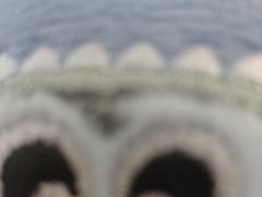 -长藤鬼校(钟楼店)