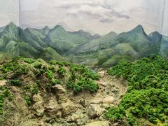 -陕西自然博物馆