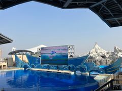 -上海海昌海洋公园
