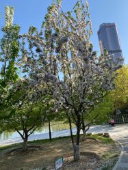 -大望京儿童游乐场