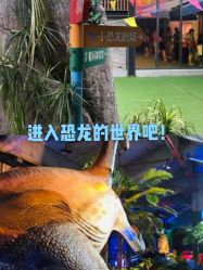 -恐龙探索乐园(磁器口店)