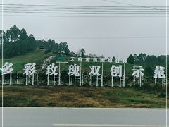 -都江堰玫瑰花溪谷