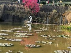 -广州莲花山旅游区