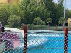 -上海玛雅海滩水公园