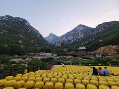 -禅宗少林·音乐大典