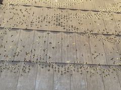 -郑州美盛喜来登大酒店