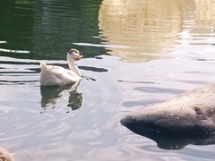 -莲湖公园