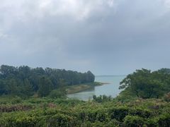 -南湾湖