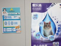 -半岛宠物医院24小时(科华中路店)
