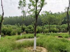 -东郊湿地公园