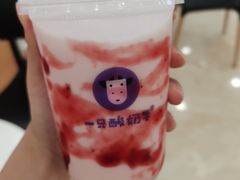 -一只酸奶牛(百联南岸上海城店)