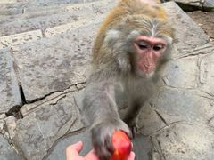 -黔灵山公园