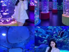 -顺德南宏海立方海洋公园
