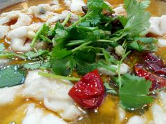 肥肠鱼-龙梅肥肠鱼(明瓦廊店)