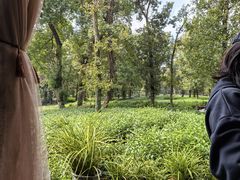 -野蔓果·山野菜(西湖景区·龙井茶田店)