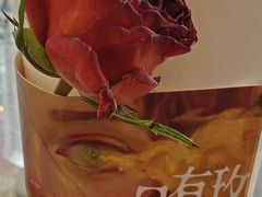 -今日艺术汇书店