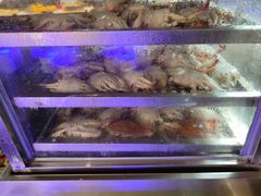 -聚盛源蒸汽海鲜火锅烤肉自助(巨川金海岸购物广场店)