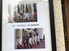 -太极禅苑