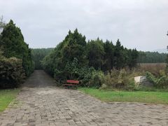 -秦始皇帝陵博物院-丽山园