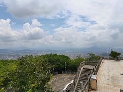 -风云岭森林公园