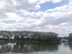 -大兴滨河森林公园