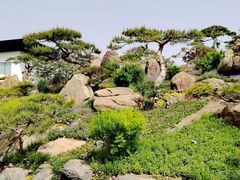 -罗红摄影艺术馆