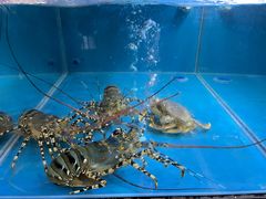 -蟹老板的海鲜
