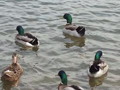 -同济大学(嘉定校区)