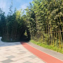 -优加东京秀烫染SALON
