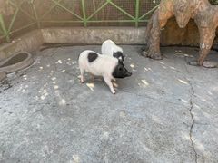 -杭州野生动物世界