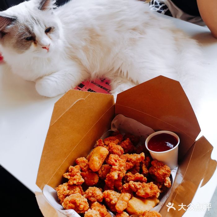喵匠猫主题咖啡(凯德和平广场店)图片