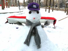 -回龙观体育文化公园